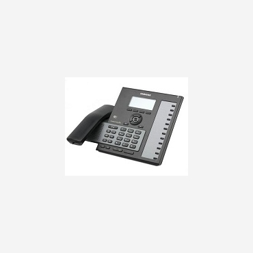 SMT-I6020 - 24 Button IP handset